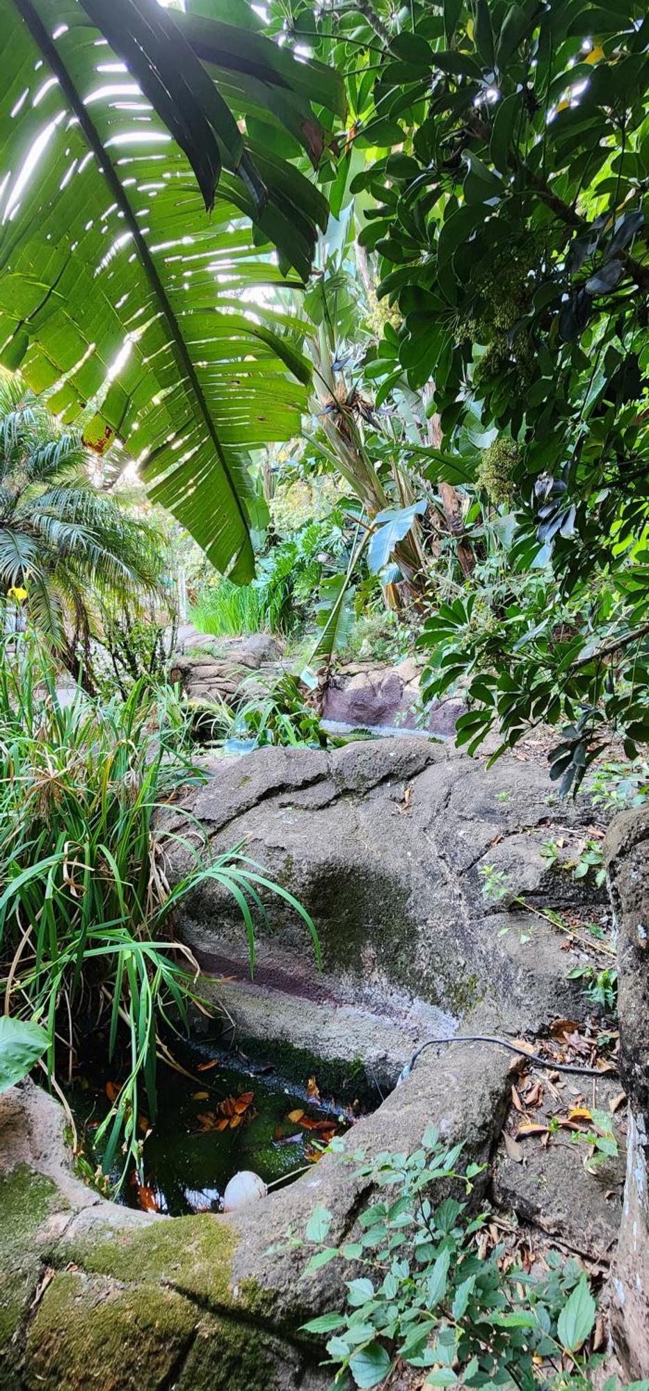 Bali At Scenic Haven Lodge In Hartbeespoort Eksteriør bilde